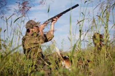 Caccia, assegnazione "Case Cacciatori" alle compagnie di caccia al cinghiale. A.V. 2024/2025